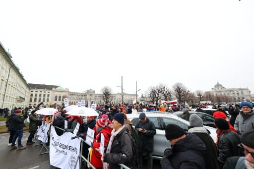Vor der Hofburg stehen Demonstranten.