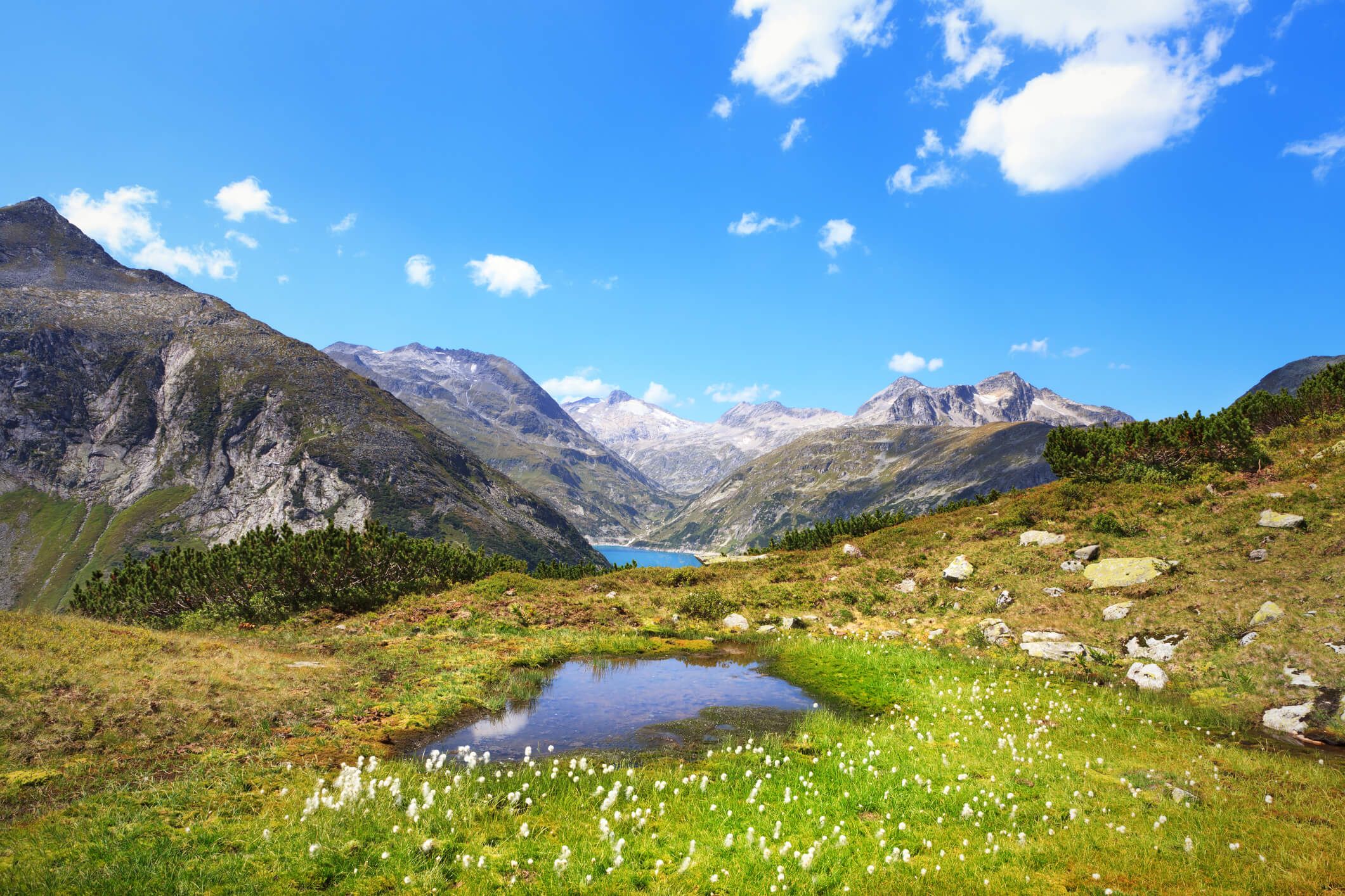 Am Sonntag werden die Kärntner befragt, ob der Bau weiterer Windräder auf den Bergen und Almen verboten werden soll.