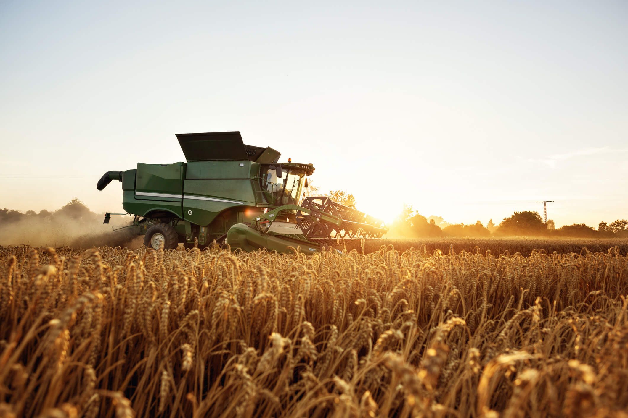 Technik statt Katastrophe: Die Landwirtschaft wird immer effizienter – düstere Studienprognosen ignorieren diese Entwicklung oft völlig.
