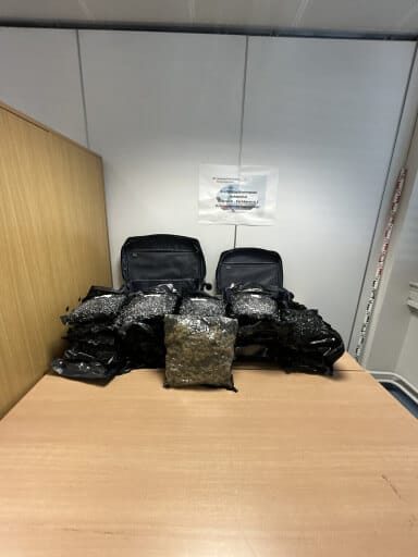 Die gefundenen 25 Kilo Cannabiskraut