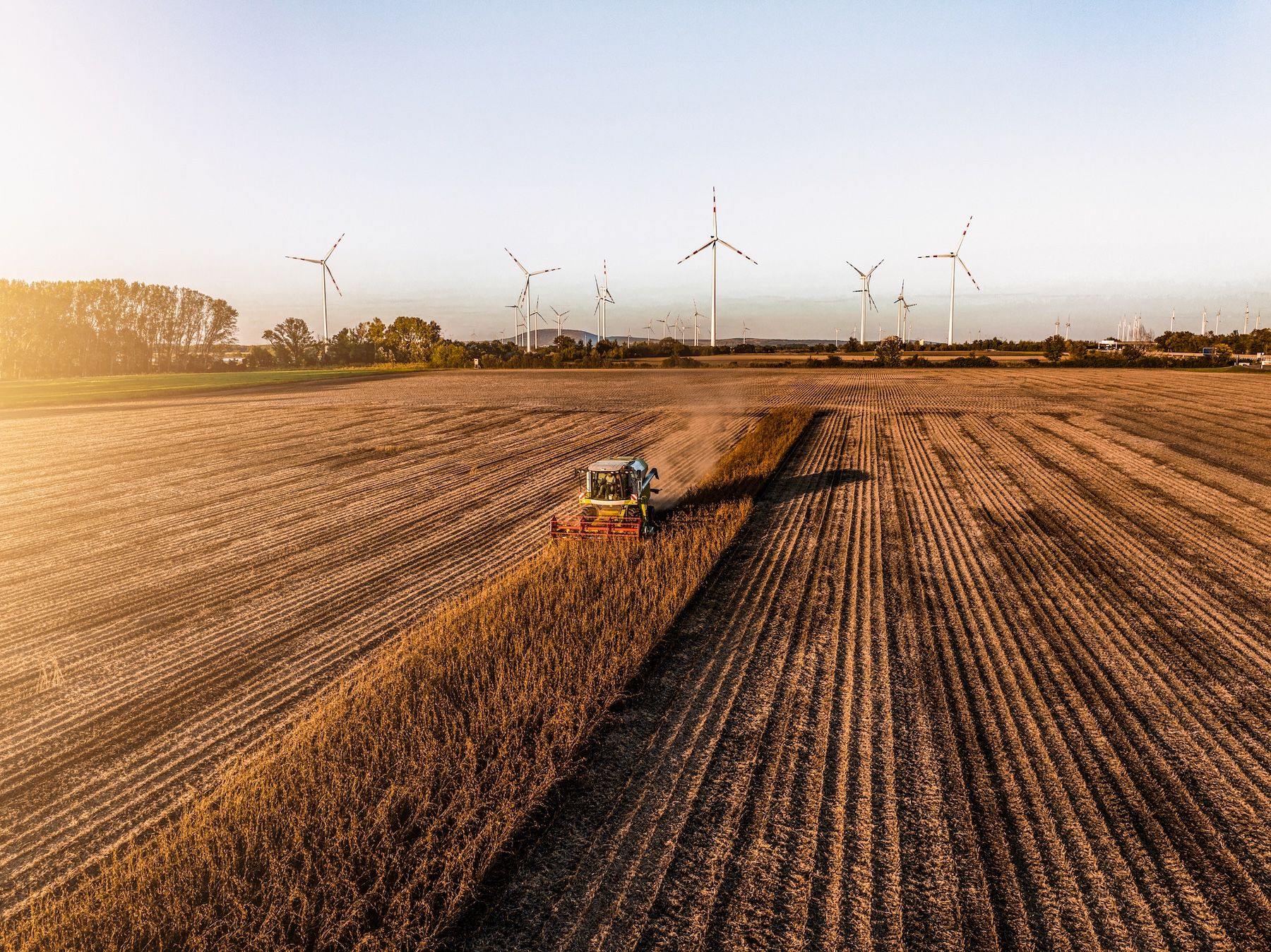 Klimapolitik und Energiepreise treiben die Kosten in der Landwirtschaft.