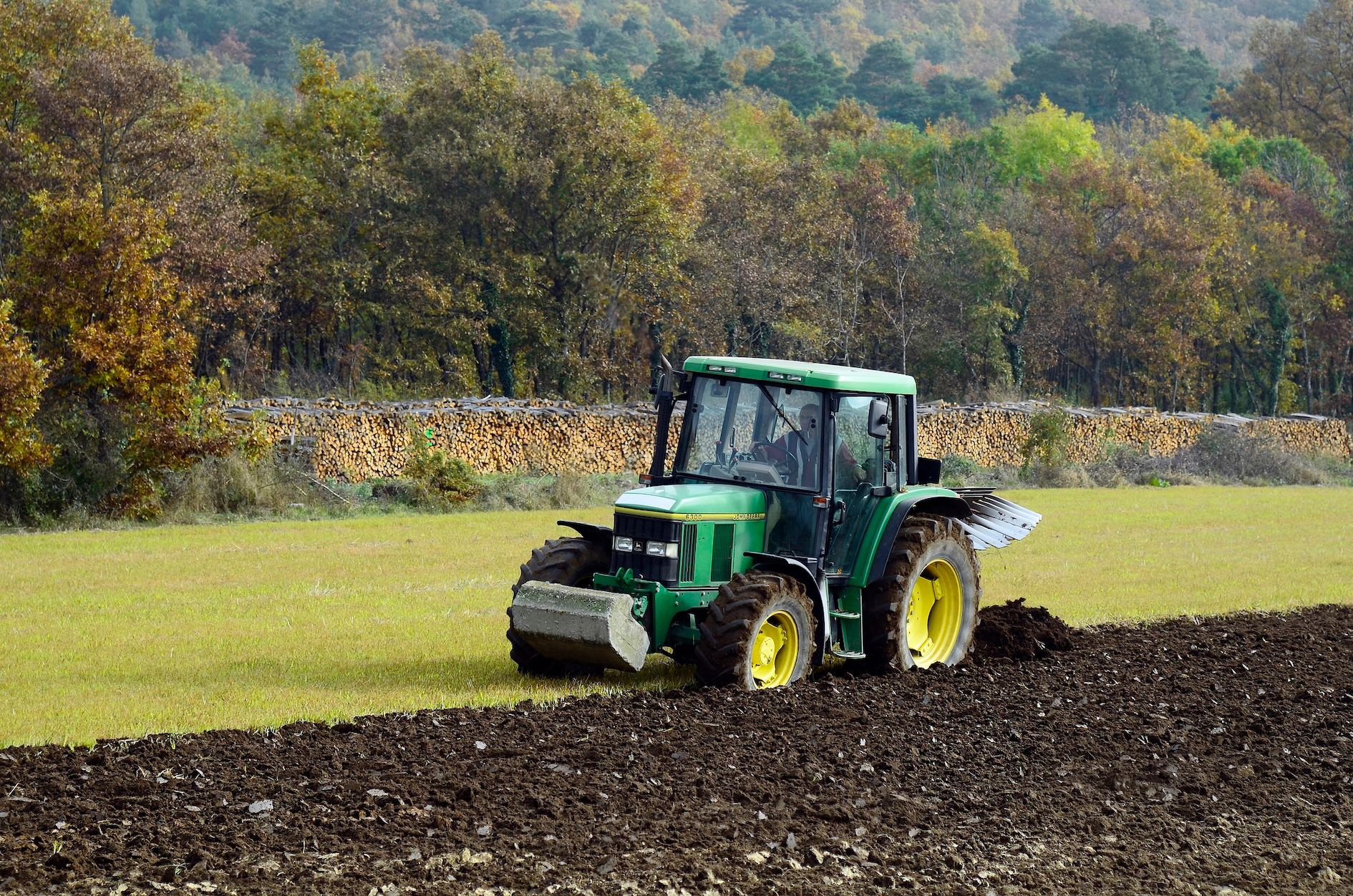 Die gesamte Landwirtschaft gerät durch steigende Kosten unter Druck.