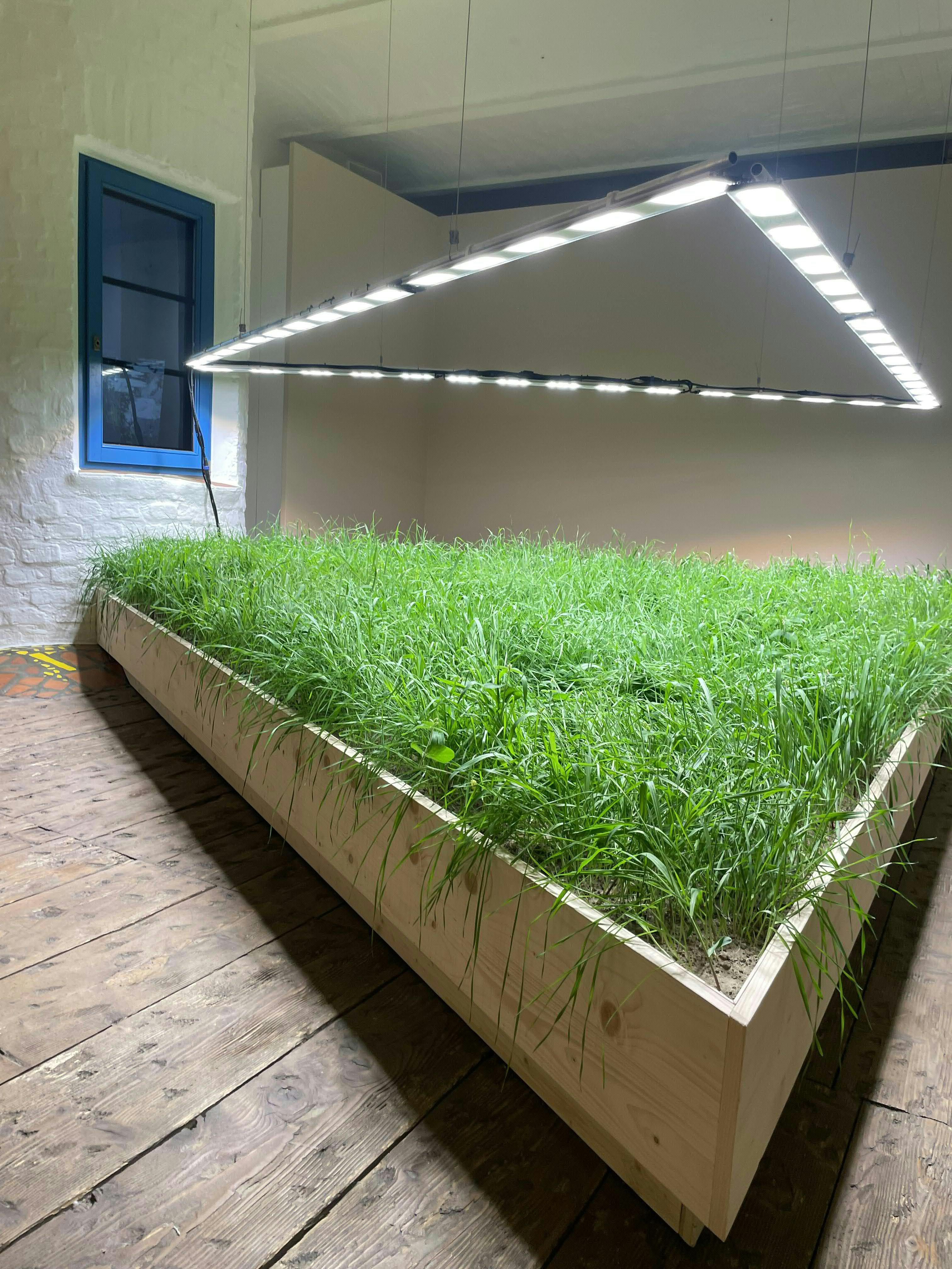 Die Installation mit dem Namen „Monokultur“ ist Teil der Samen-Ausstellung im KunstHausWien.