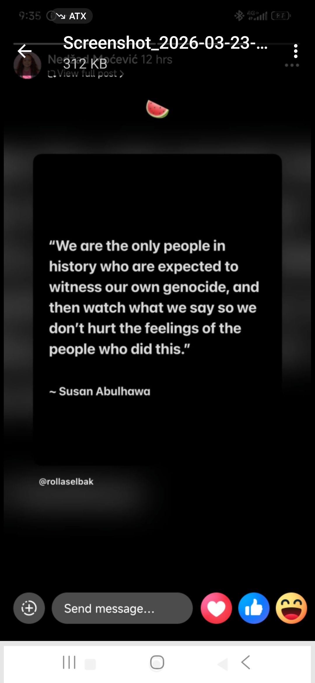 Auch Ansichten der Israel-Hasserin und Mullah-Bewunderin Susan Abulhawa teilt Moćević auf seinem mittlerwiele nicht mehr öffentlichen Instagram-Account.