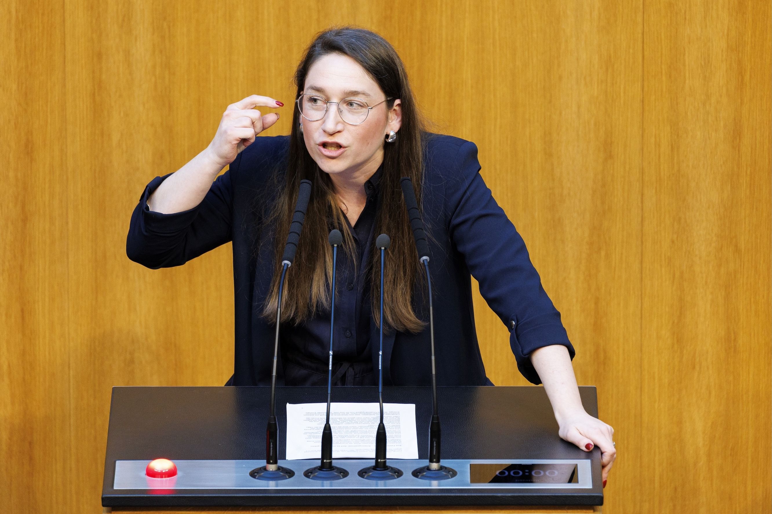 SPÖ-Klubvize Julia Herr sagt, die SPÖ habe „nichts zu verbergen“ – lehnt eine allgemeine Kontrolle aber dennoch ab.