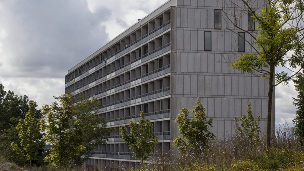„Zwangsumsiedlung“: Dänemark beginnt mit Abriss von Migranten-Ghettos - politik - exxpress Nachrichten