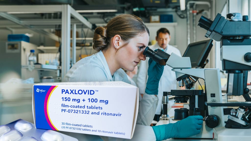 Verschwinden tausender Packungen Paxlovid wird zum nächsten Corona-Krimi! - news - exxpress Nachrichten