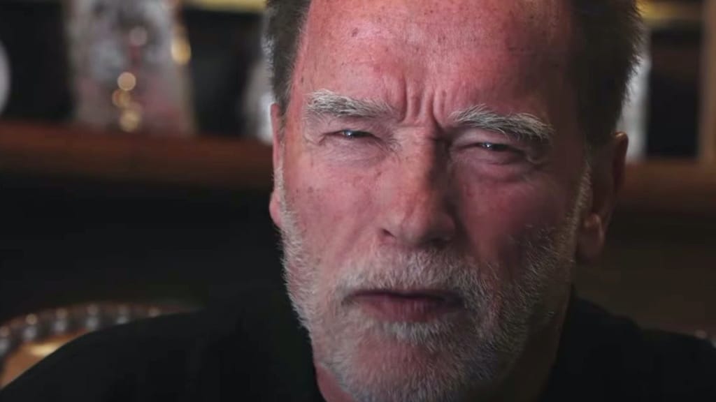 Terminator vs. deutscher Zoll: Schwarzenegger soll jetzt 35.000 Euro zahlen - lifestyle - exxpress Nachrichten