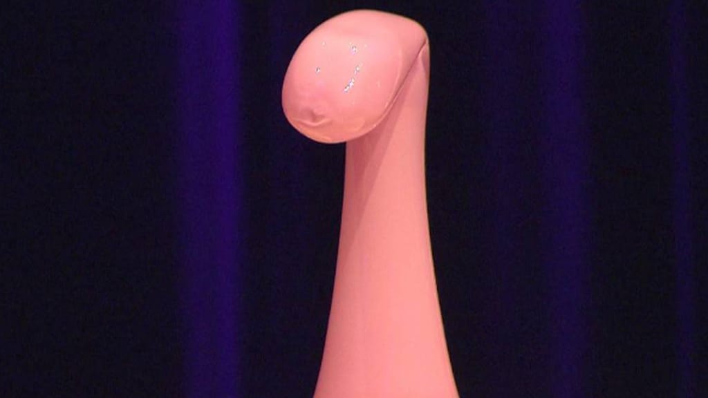 Erster Vorarlberger Frauenpreis vergeben – Trophäe irritiert - politik - exxpress Nachrichten