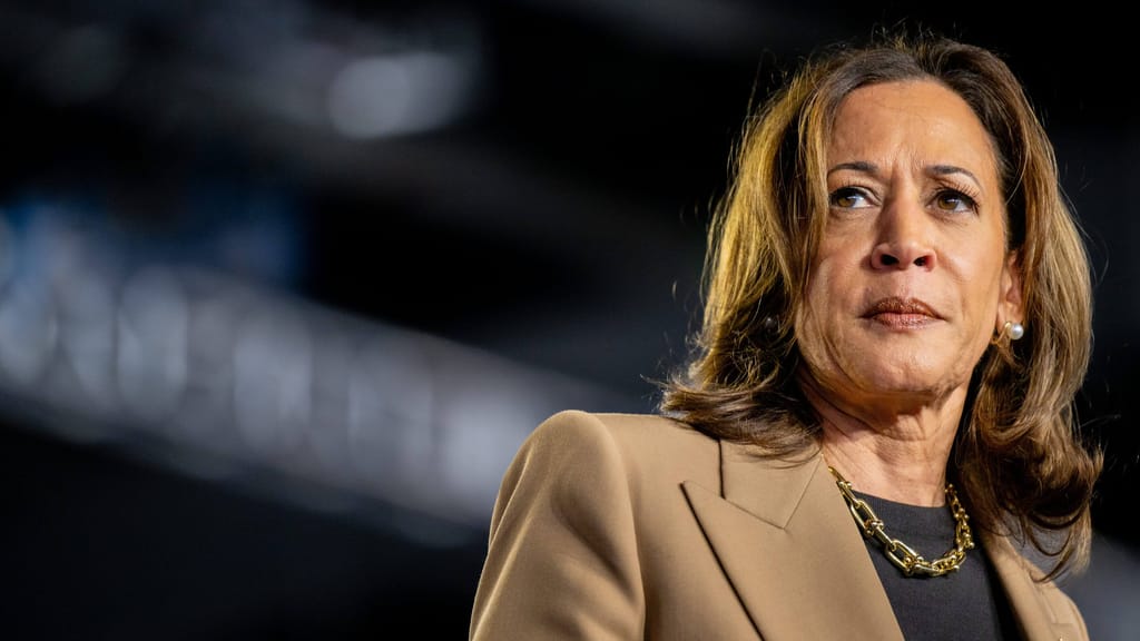 Plagiatsvorwürfe gegen US-Vizepräsidentin Harris: Österreicher deckt auf - politik - exxpress Nachrichten