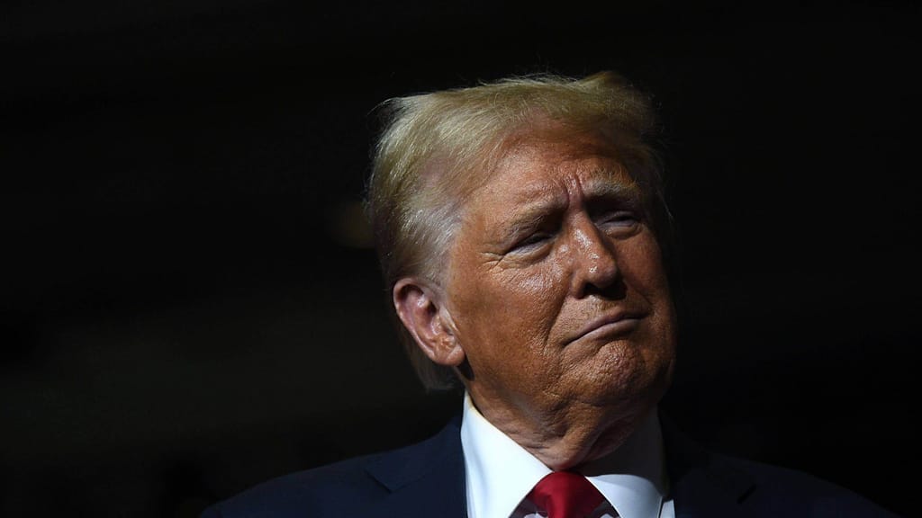 "Mit mir als Präsident wäre Russland niemals in die Ukraine einmarschiert": Donald Trump im Joe Rogan-Podcast - politik - ...