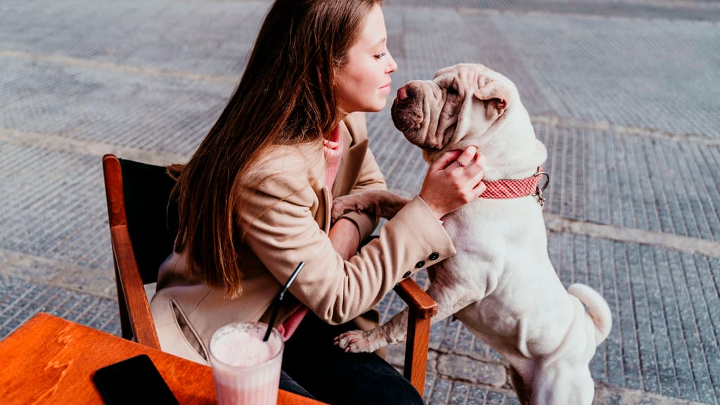 Immer weniger Kinder – dafür mehr Hunde - lifestyle - exxpress Nachrichten