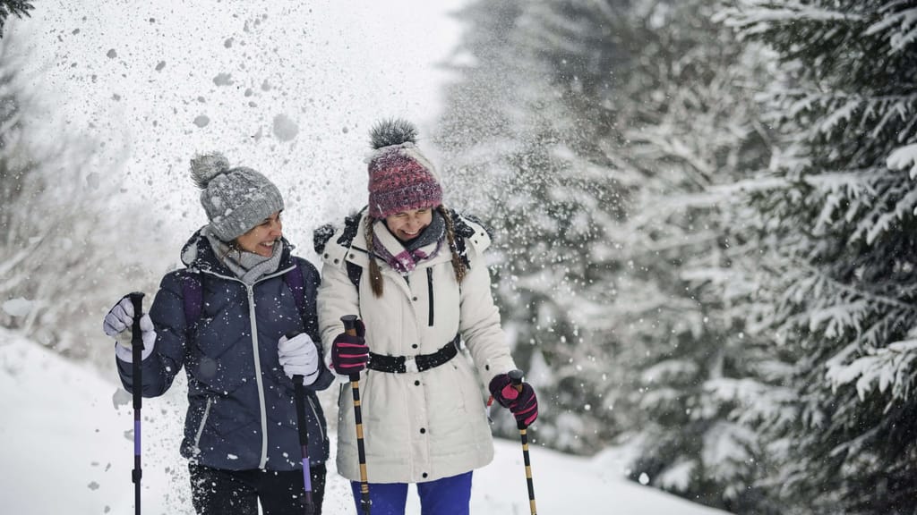 Kräftiger Schneefall! Das erwartet uns am Wochenende - news - exxpress Nachrichten