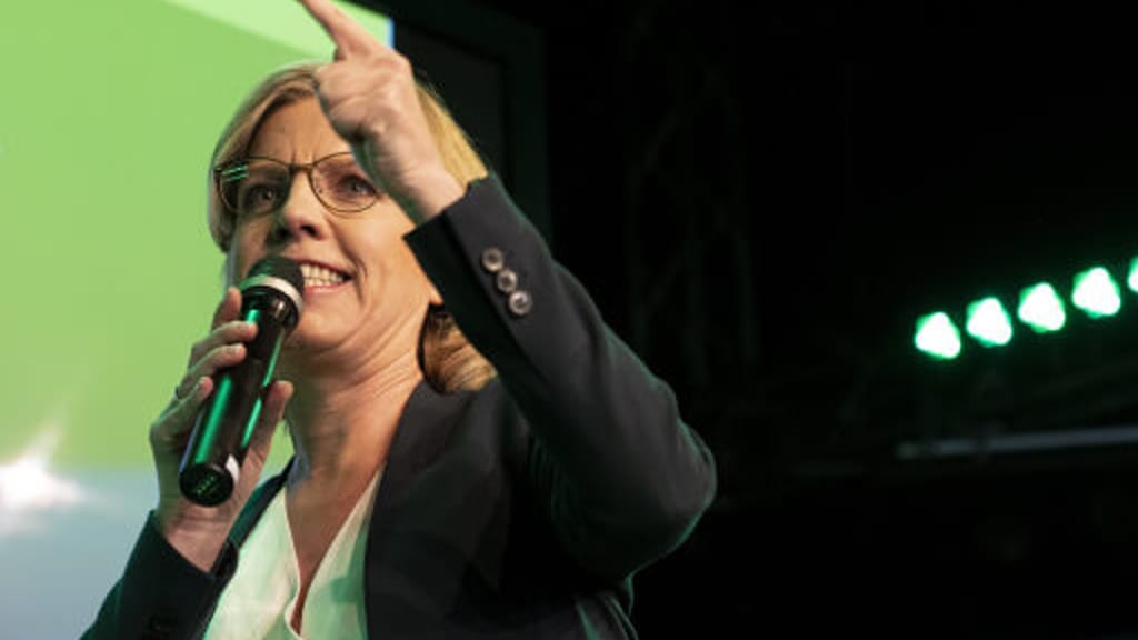 Grüne fordern weiterhin Budgetfinanzierung von Ökostrom-Förderungen - politik - exxpress Nachrichten