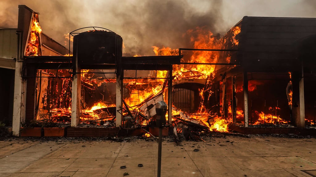 Los Angeles in Flammen: Zahl der Todesopfer steigt - news - exxpress Nachrichten