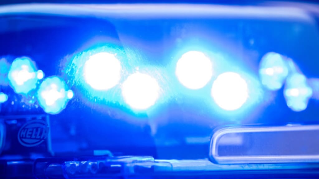 Festnahme nach Fluchtversuch: Nigerianer (30) beißt und spuckt auf Polizei - news - exxpress Nachrichten