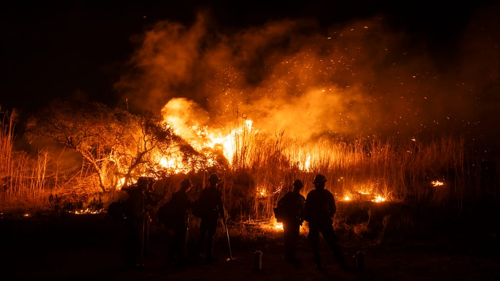 „Unsinn!“ Klimawandel hat Brände in LA nicht verursacht, sagt Promi-Physiker - news - exxpress Nachrichten