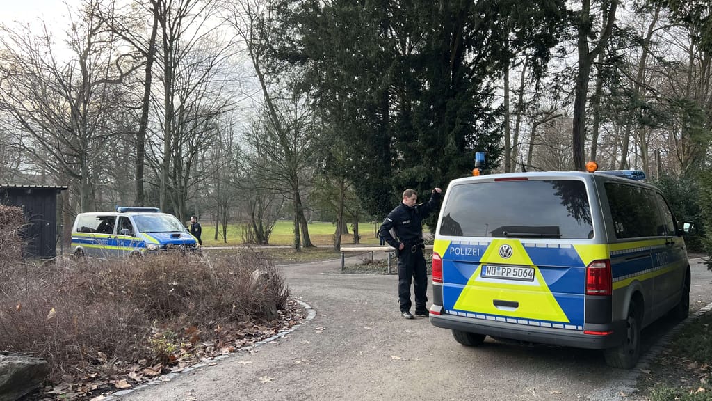 Messer-Terror in Aschaffenburg: Afghane (28) ersticht Kind (2) und Zeugen (41) - news - exxpress Nachrichten