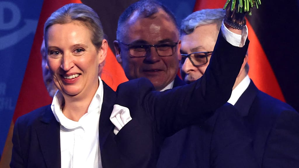 Elon Musk live bei AfD-Wahlkampfshow – Video-Botschaft von Herbert Kickl - politik - exxpress Nachrichten