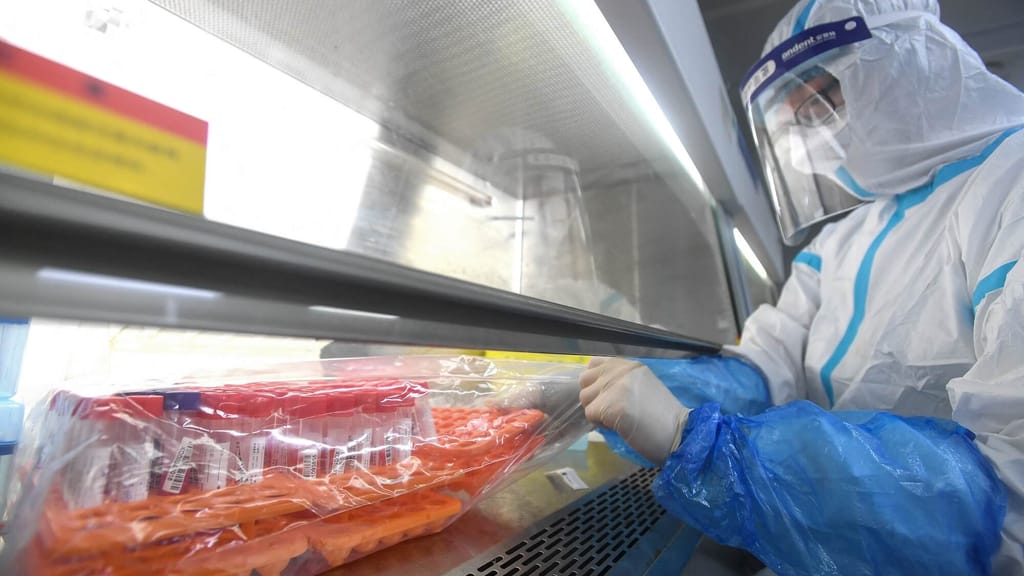 CIA ändert Einschätzung: Covid-19 stammt wahrscheinlich aus chinesischem Labor - politik - exxpress Nachrichten