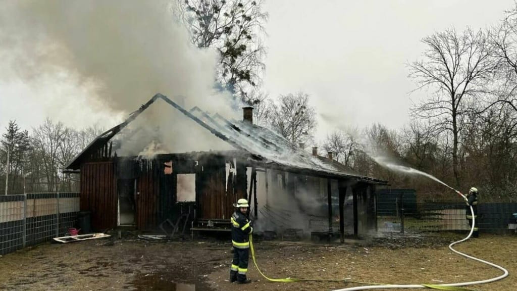 Auslöser gefunden: Deswegen starben neun Vierbeiner qualvoll bei Brand in Hundeschule - news - exxpress Nachrichten