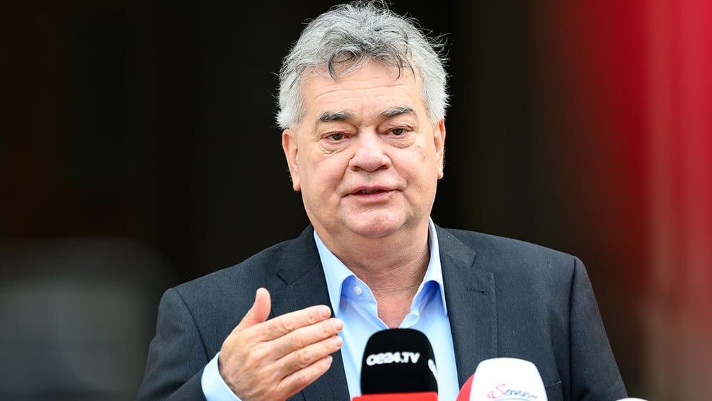 Grüner Kogler bietet sich der ÖVP jetzt als Königsmacher an - politik - exxpress Nachrichten