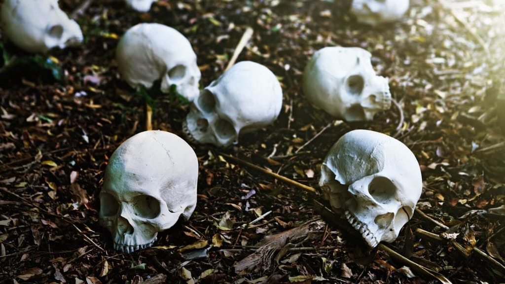 Sensationsfund: 150 tote Römer! Massengrab wirft Wiens Geschichte um - news - exxpress Nachrichten