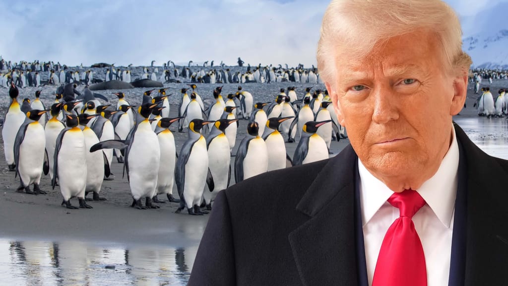 Zölle für Pinguine? Trump zieht auch gegen sie in den Handelskrieg - politik - exxpress Nachrichten