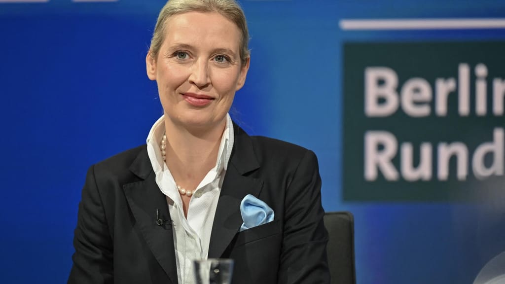 Umfrage-Schock für Merz! AfD erstmals auf Platz 1 - politik - exxpress Nachrichten