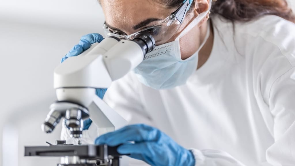 Revolution im Labor: Forscher setzen auf 3D-Haut aus lebenden Zellen - news - exxpress Nachrichten