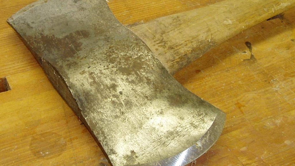 Nach Brudermord mit Axt: 15-Jähriger zu acht Jahren Haft verurteilt - news - exxpress Nachrichten