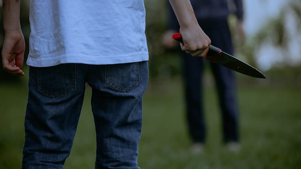 Jugendgewalt explodiert: Hälfte der Täter Ausländer – Zahl der Syrer schockiert! - news - exxpress Nachrichten