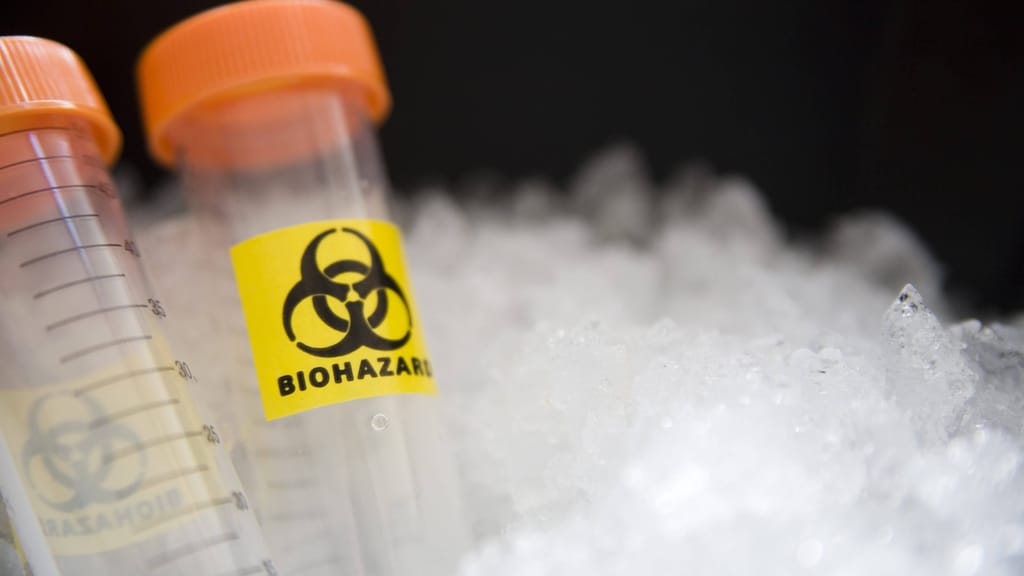Alarm wegen neuer Seuche: Ungarn und Slowakei sprechen von Bio-Terrorismus - news - exxpress Nachrichten