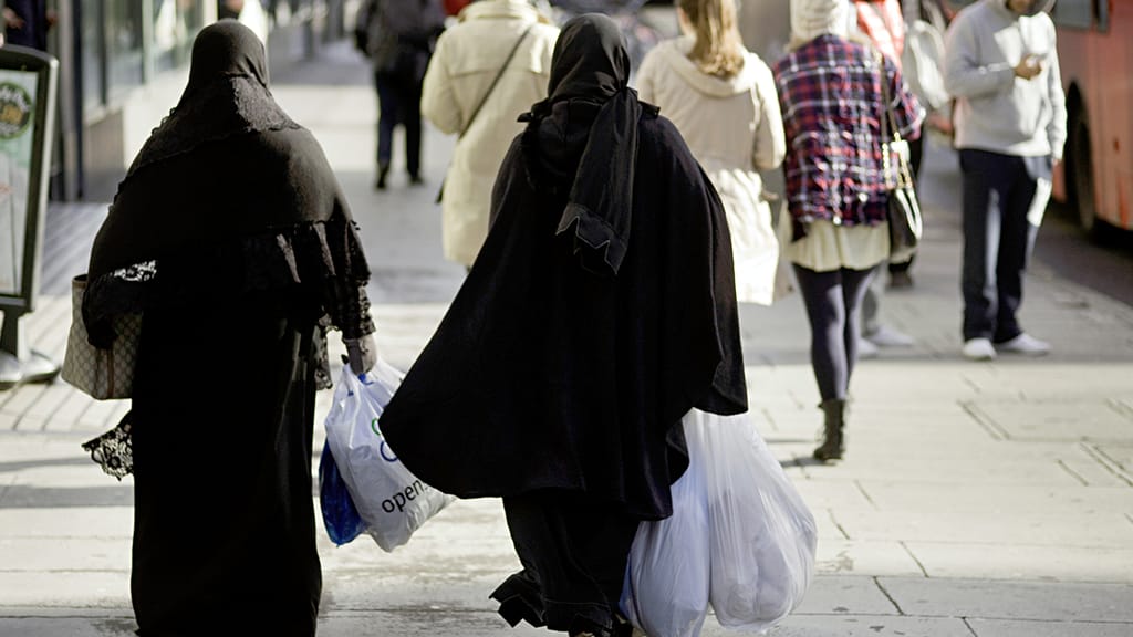 Wien am Limit: Hohe Sozialleistungen locken immer mehr Zuwanderer an - politik - exxpress Nachrichten