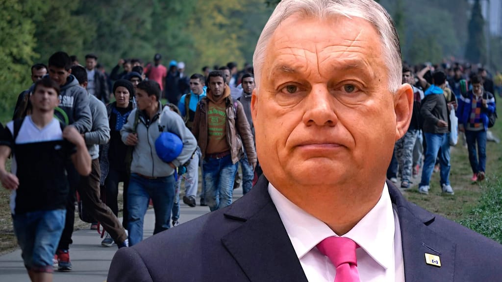 Ansturm an Ungarns Grenze: Illegale Migration explodiert - politik - exxpress Nachrichten