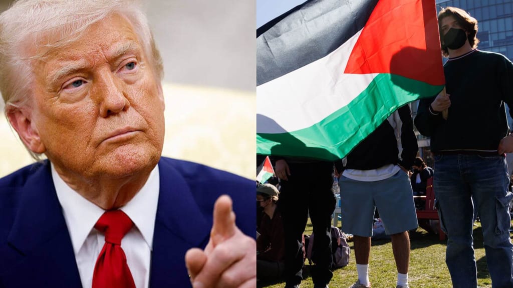Trump hatte laut Bericht Recht: Eliteuni Harvard ist antisemitisch - politik - exxpress Nachrichten