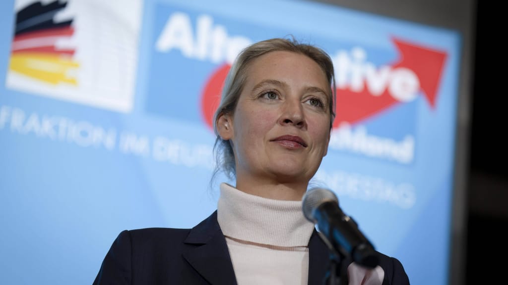 Die absurdesten Beispiele aus dem AfD-Gutachten - politik - exxpress Nachrichten