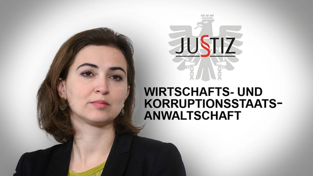 Spendenaffäre Zadic: Selbsternannte Sauberfrau in Erklärungsnot - politik - exxpress Nachrichten