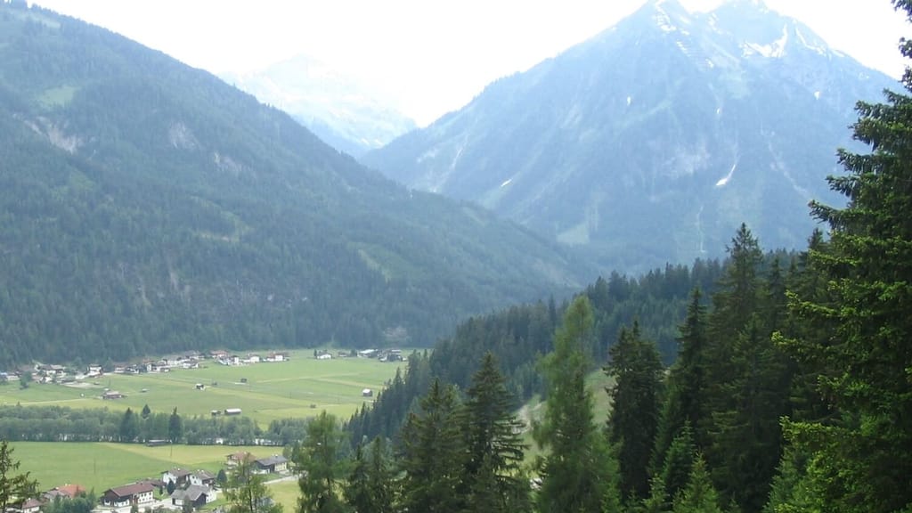 Tödlicher Wanderunfall in Tirol: Frau stürzt bei Rettung ihres Hundes - news - exxpress Nachrichten