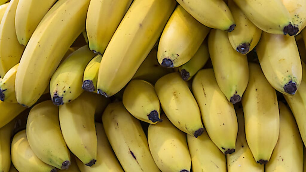 Bananen-Krise in Panama: Chiquita kündigt 1.600 Arbeiter nach Streik - news - exxpress Nachrichten