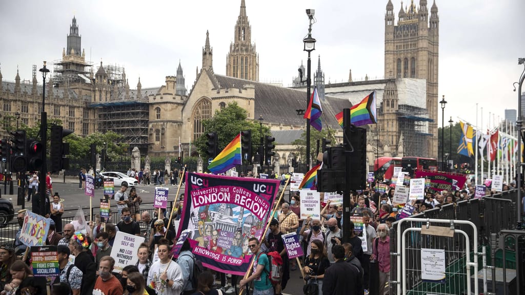 Zentrum für Transmedizin – Gefährliches Vorbild Großbritannien? - politik - exxpress Nachrichten