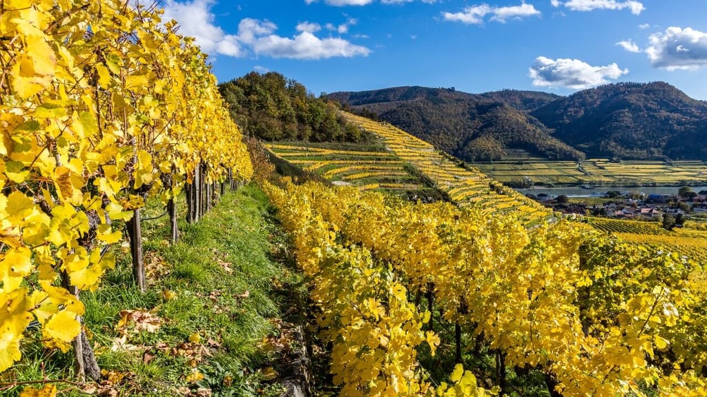 Kommunale Krise in Niederösterreich: Jede zweite Gemeinde steht vor dem Kollaps - economy - exxpress Nachrichten