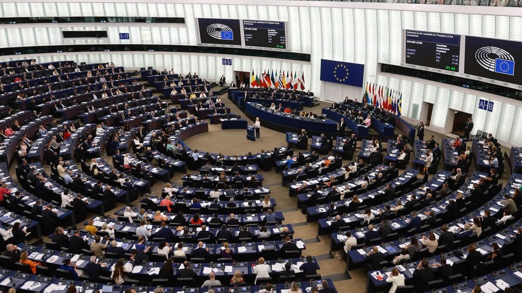 Haider empört: EU-Kommission schützt NGOs – trotz Rechnungshof-Rüge - politik - exxpress Nachrichten