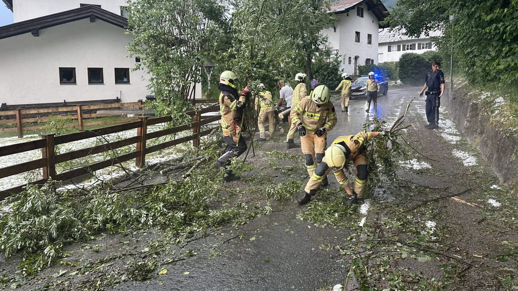 Millionenschaden durch Hagel: Tirols Bauern kämpfen mit den Unwetterfolgen - economy - exxpress Nachrichten