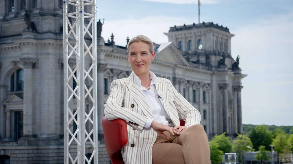 Sommerinterview-Störer behauptet: Anti-Weidel-Aktion war mit Polizei abgesprochen - politik - exxpress Nachrichten