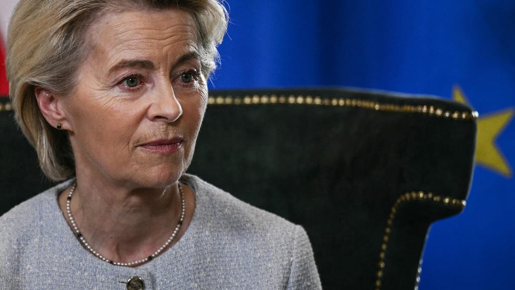 „Ein Drama!“ Deutsche Industrie zerreißt von der Leyens Zoll-Deal - politik - exxpress Nachrichten