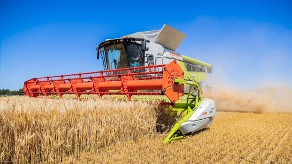 Lebensmittelpreise: Bauernbund warnt vor Eingriffen - economy - exxpress Nachrichten