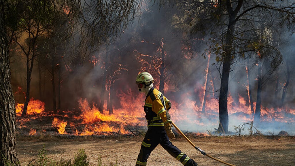 Über 1.000 Menschen wegen verheerender Waldbrände in Spanien evakuiert - news - exxpress Nachrichten