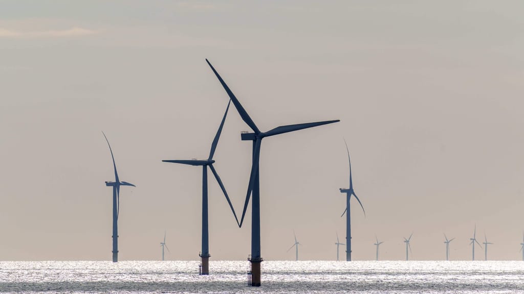 Gift statt grüner Strom? Studie warnt vor Offshore-Windparks - news - exxpress Nachrichten