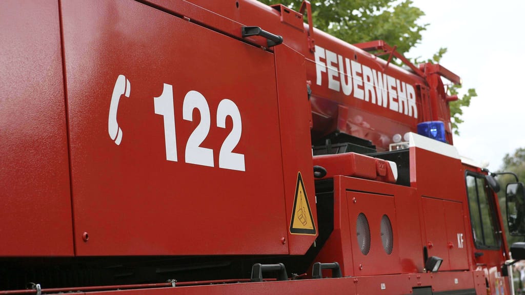 Spektakuläre Tierrettung: Feuerwehr und Experten befreien Riesenvogel aus Kamin - news - exxpress Nachrichten